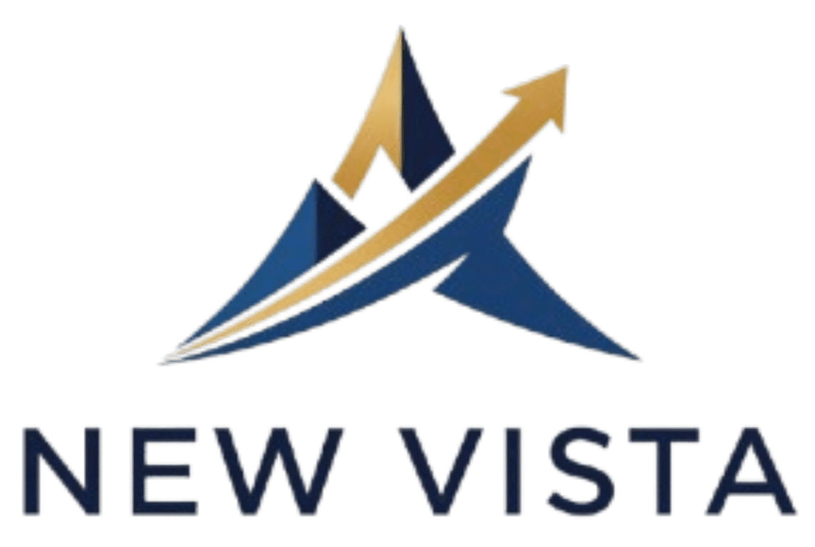 New Vista Advisors, Pte Ltd